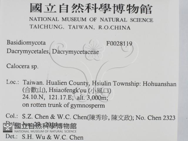 登錄號:F0028119藏品圖，第2張