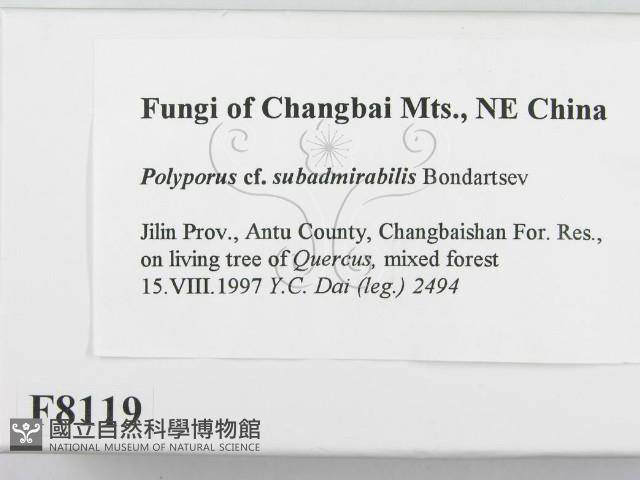 登錄號:F0008119藏品圖，第2張