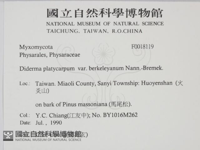 登錄號:F0018119藏品圖，第2張