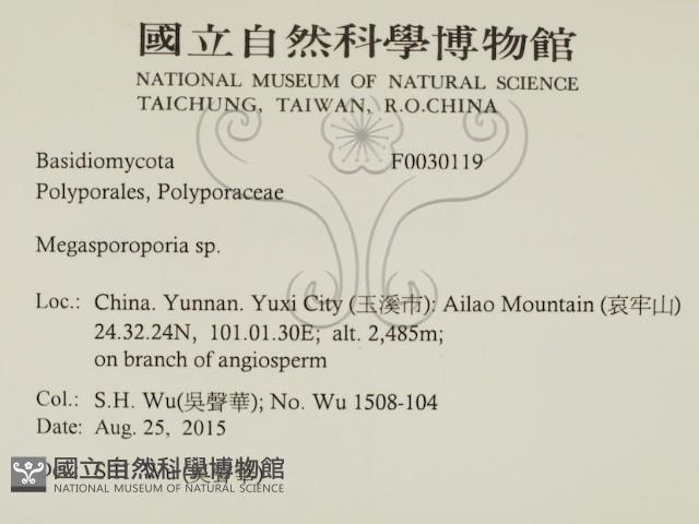 登錄號:F0030119藏品圖，第2張