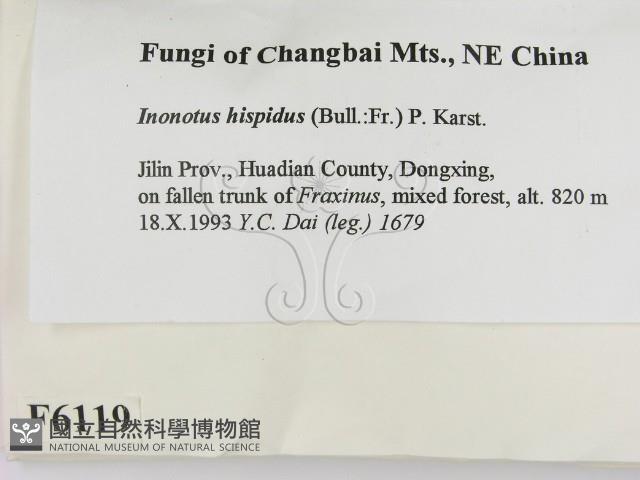 登錄號:F0006119藏品圖，第2張