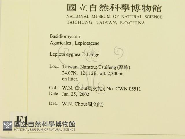 登錄號:F0016119藏品圖，第2張