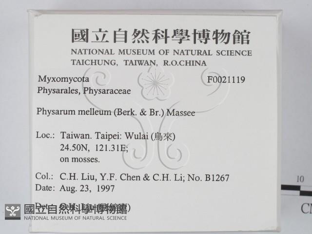 登錄號:F0021119藏品圖，第2張