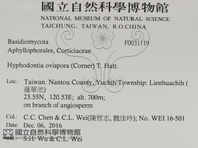 登錄號:F0031119藏品圖，第2張