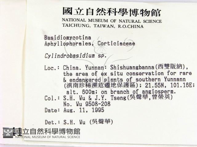 館號:F0004119藏品圖，第2張
