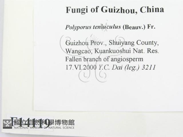 登錄號:F0014119藏品圖，第2張