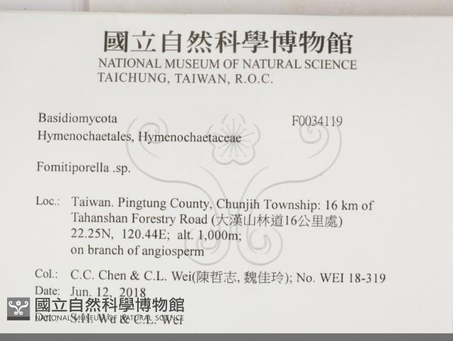 登錄號:F0034119藏品圖，第2張