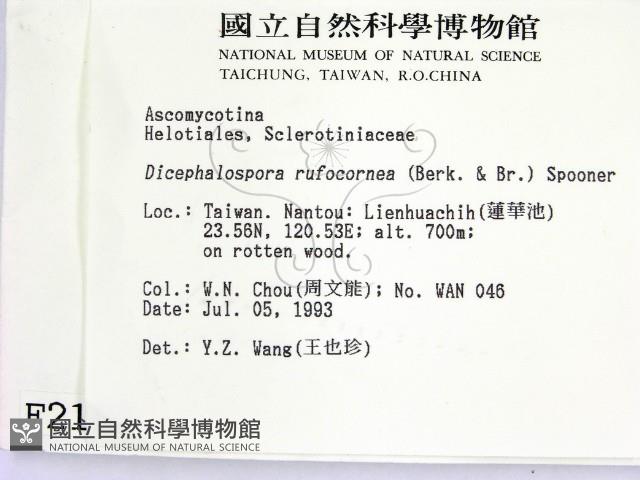 登錄號:F0002119藏品圖，第2張