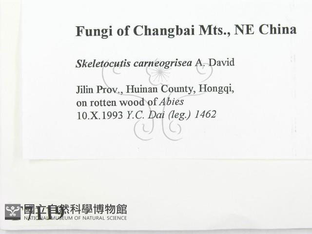 登錄號:F0007119藏品圖，第2張