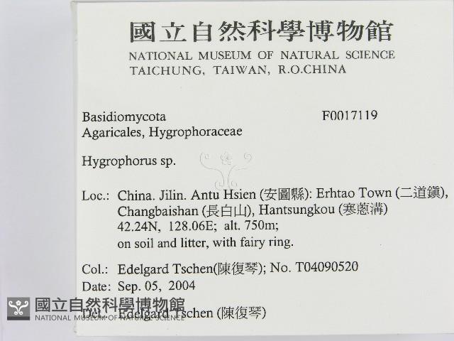 登錄號:F0017119藏品圖，第2張