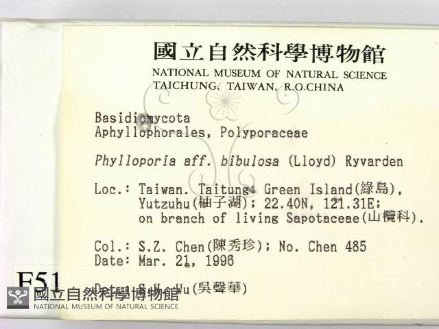 登錄號:F0005119藏品圖，第2張