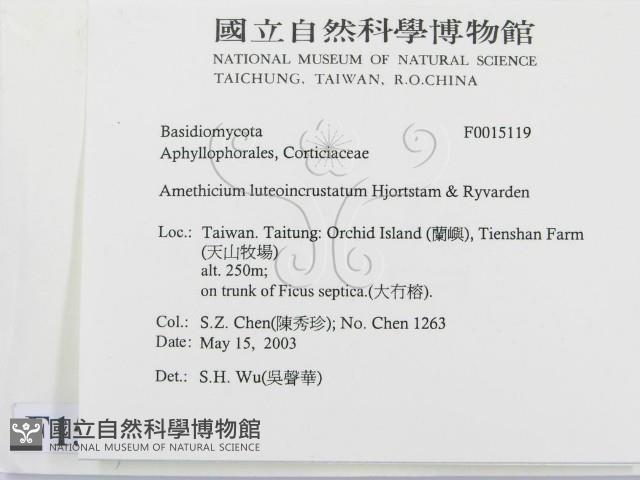 登錄號:F0015119藏品圖，第2張