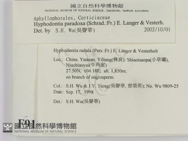 登錄號:F0009119藏品圖，第2張