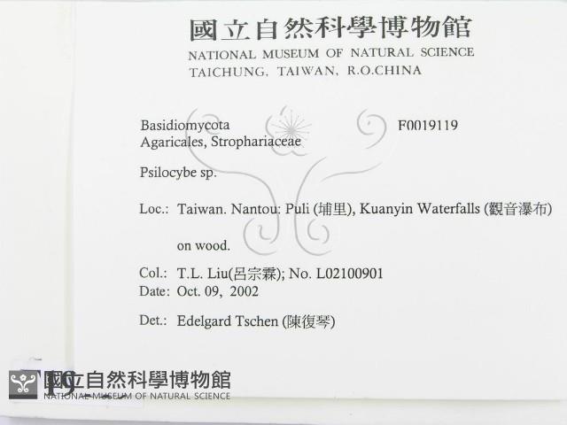登錄號:F0019119藏品圖，第2張