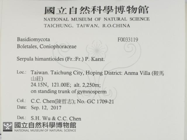 登錄號:F0033119藏品圖，第2張