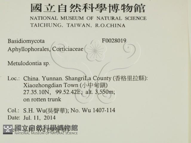登錄號:F0028019藏品圖，第2張