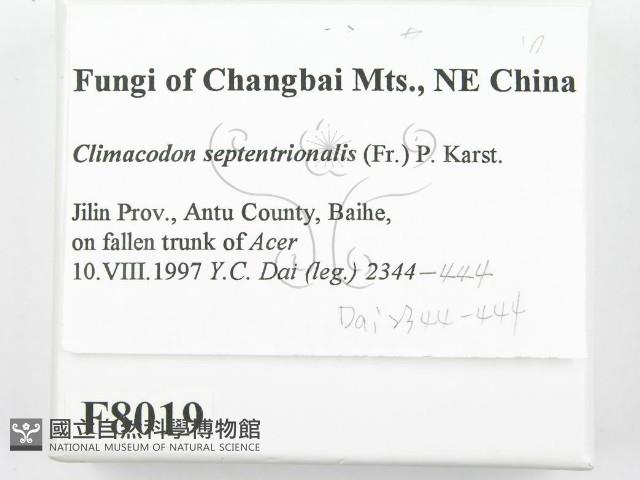 登錄號:F0008019藏品圖，第2張