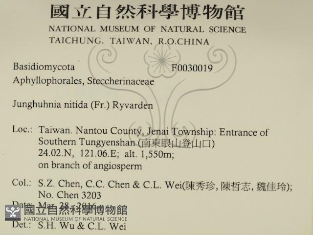 登錄號:F0030019藏品圖，第2張