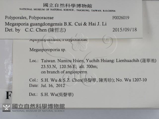 登錄號:F0026019藏品圖，第2張