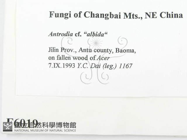 登錄號:F0006019藏品圖，第2張