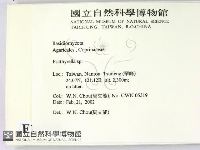 登錄號:F0016019藏品圖，第2張