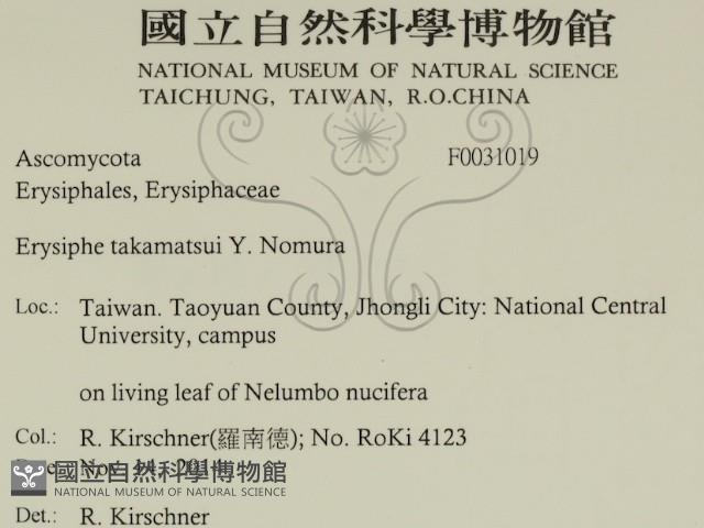 登錄號:F0031019藏品圖，第2張