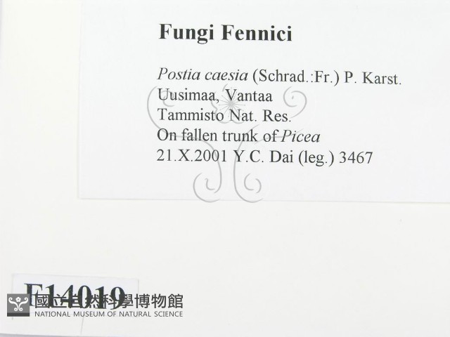 登錄號:F0014019藏品圖，第2張