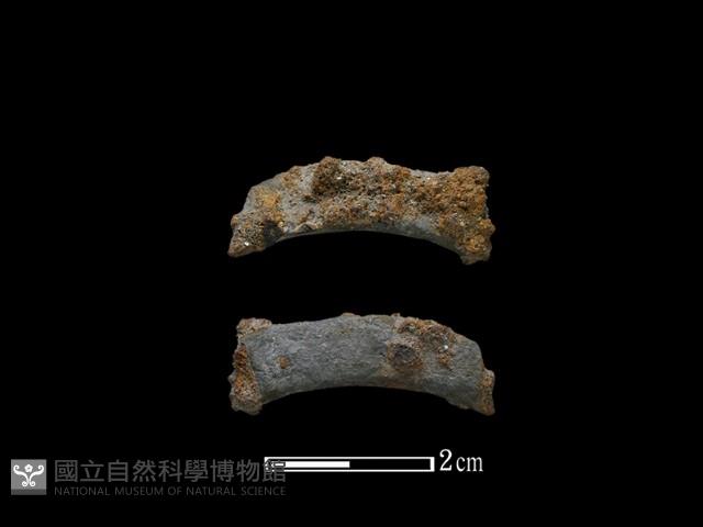 陶環藏品圖，第1張