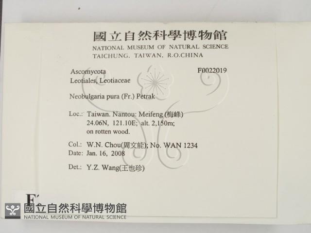 登錄號:F0022019藏品圖，第2張