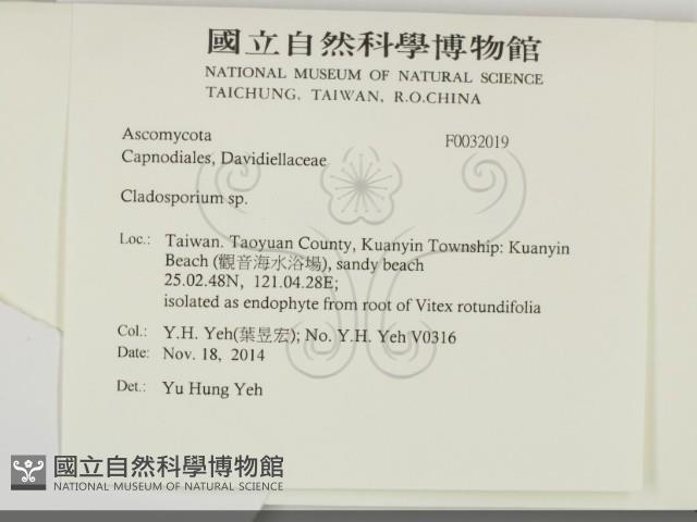 登錄號:F0032019藏品圖，第2張