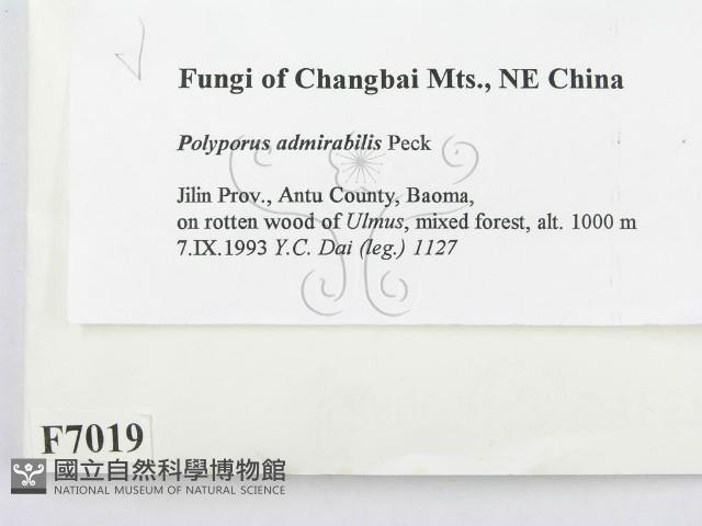 登錄號:F0007019藏品圖，第2張