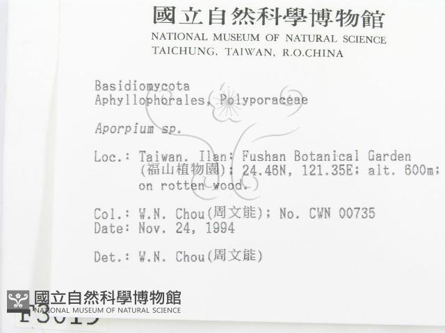 登錄號:F0003019藏品圖，第2張