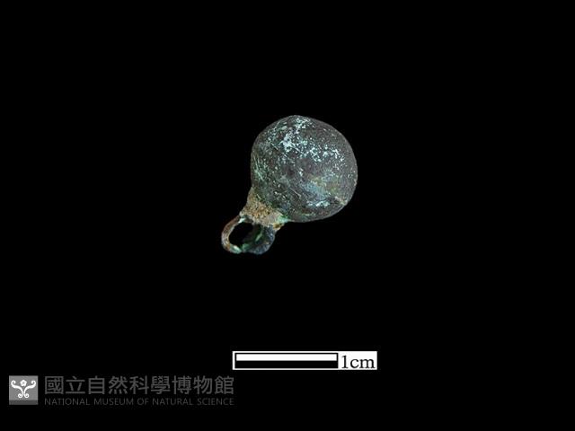 鈕子藏品圖，第1張