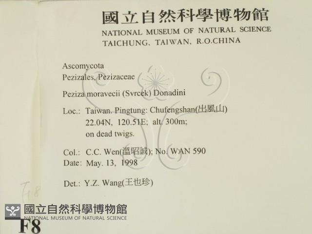 登錄號:F0008319藏品圖，第2張
