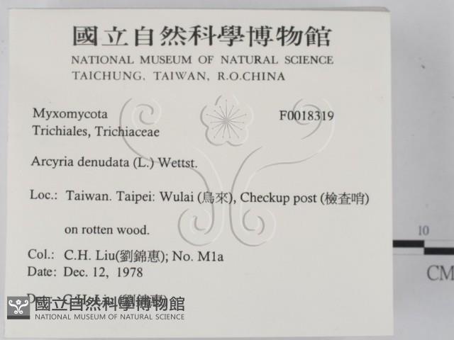 登錄號:F0018319藏品圖，第2張