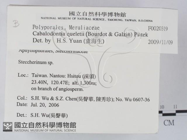 登錄號:F0020319藏品圖，第2張
