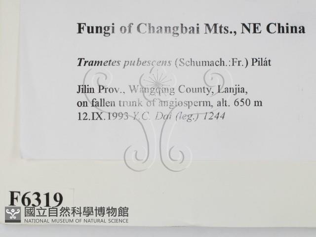登錄號:F0006319藏品圖，第2張