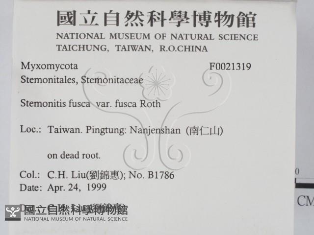 登錄號:F0021319藏品圖，第2張