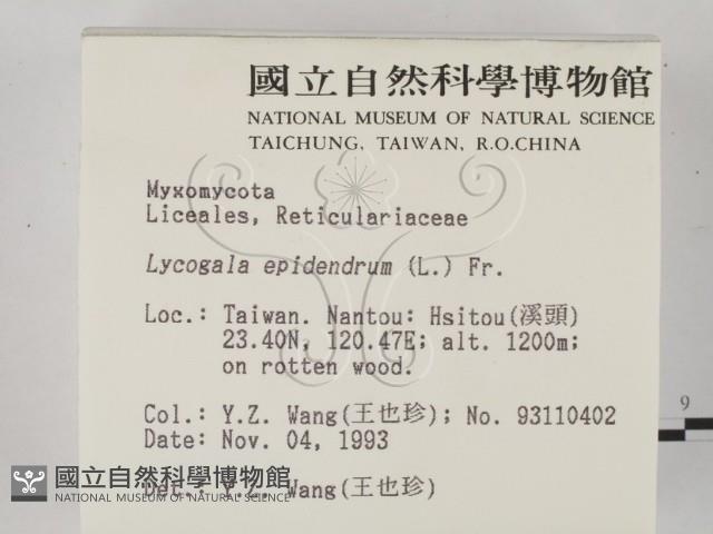 登錄號:F0001319藏品圖，第2張