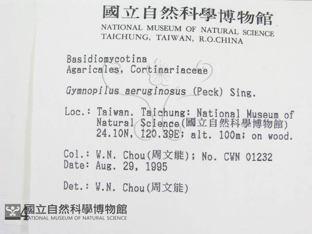 登錄號:F0004319藏品圖，第2張