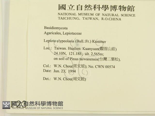 登錄號:F0002319藏品圖，第2張