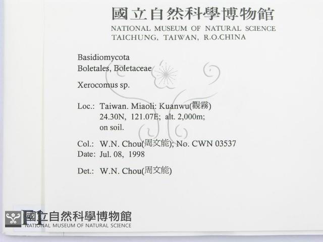 登錄號:F0012319藏品圖，第2張
