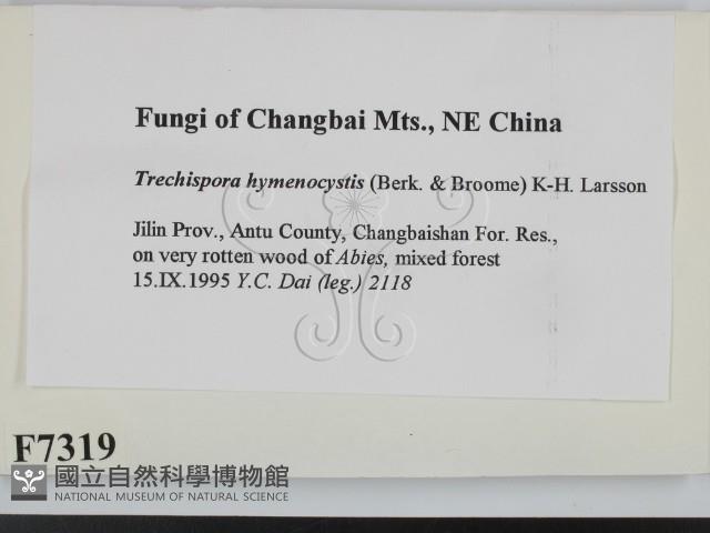 登錄號:F0007319藏品圖，第2張