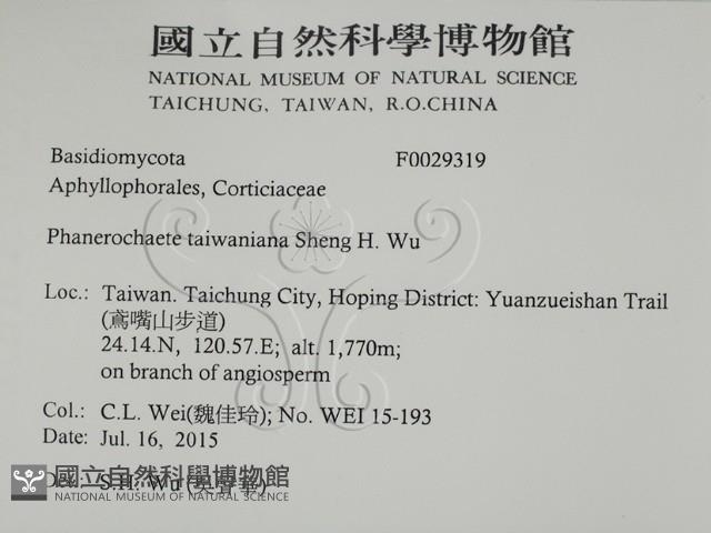 登錄號:F0029319藏品圖，第2張