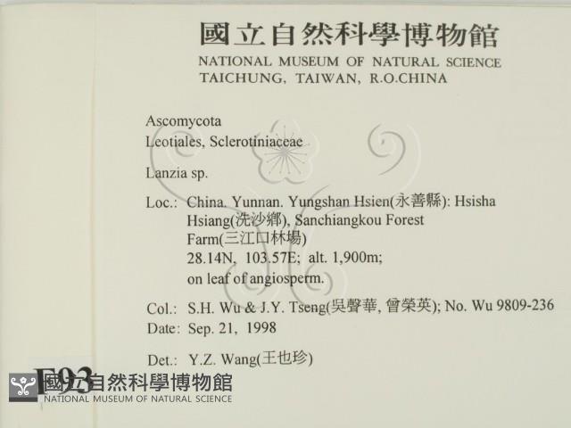 登錄號:F0009319藏品圖，第2張