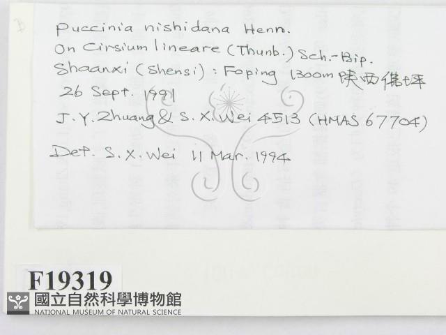 登錄號:F0019319藏品圖，第2張