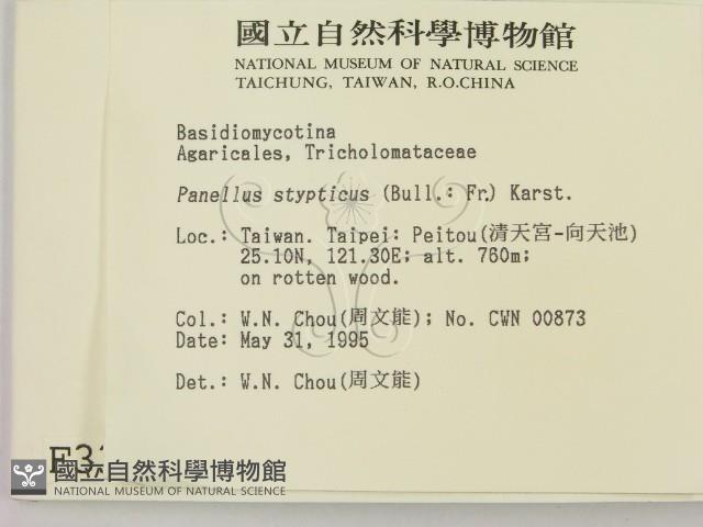 登錄號:F0003319藏品圖，第2張