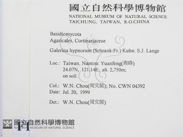 登錄號:F0013319藏品圖，第2張