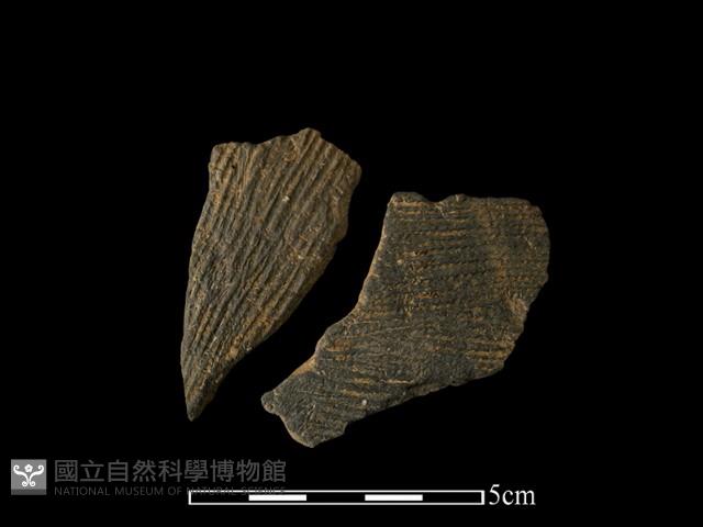 陶片藏品圖，第1張