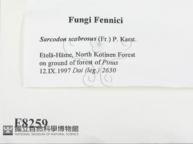 登錄號:F0008259藏品圖，第2張